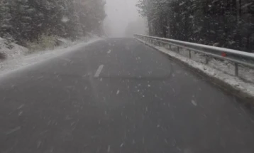 Падна првиот снег во Малешевијата