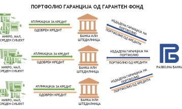 Развојна банка: Нови банки вклучени во државната гарантна шема