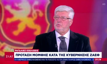 Маљас:  За ситуацијата во Северна Македонија одговорност имаат и некои држави од ЕУ