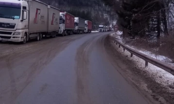 Колона товарни возила со часови заглавена на граничниот премин Ѓуешево