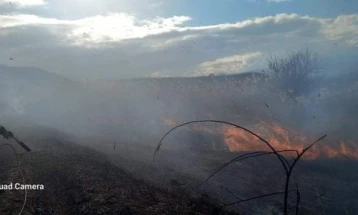 Пожар во атар на росоманско Рибарци, пожарникарите апелираат на внимателност