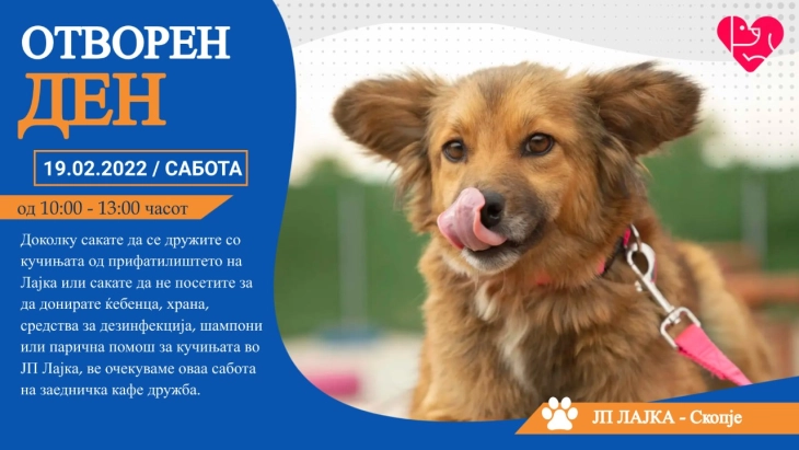 ЈП „Лајка“ во сабота организира отворен ден за вдомување кучињата