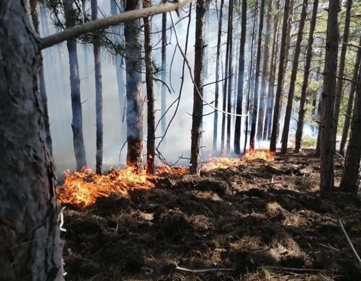 Пожарникарите од Македонска Каменица го локализираа пожарот кај Костин Дол