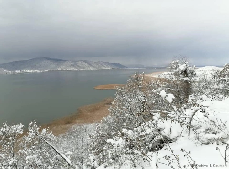 Зголемен водостојот на Преспанското Езеро