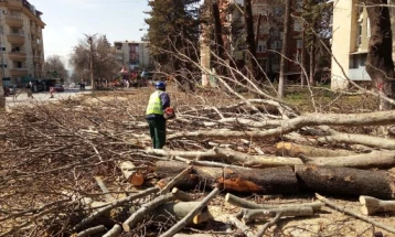 Спроведена акција за сечење и кастрење на стари гранки, дрва и грмушки на паркиралишта на ЈП „Градски паркинг“- Скопје