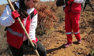 Волонтерите од гевгелискиот Црвен крст учествуваа во екоакција за пошумување