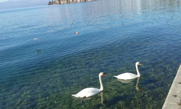 Зголемени водостоите на Охридското и Преспанското Езеро