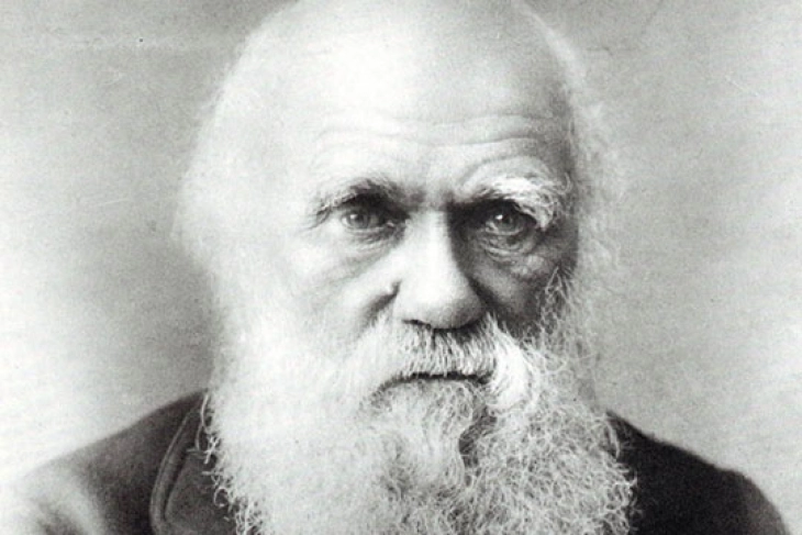 Анонимно вратени ракописите на Чарлс Дарвин, украдени пред 21 година