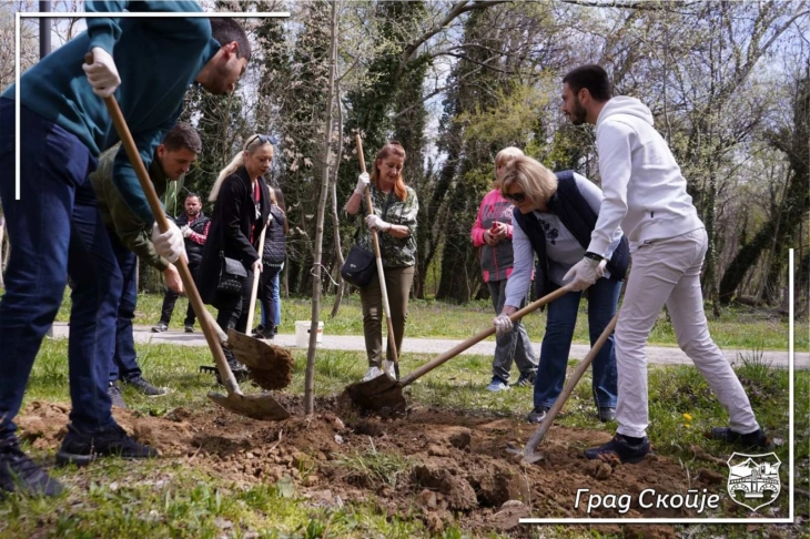 Еколошка акција за зазеленување на Сарај