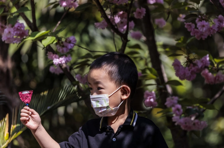 Раст на бројот на ковид инфекции во Шангај и покрај локдаунот