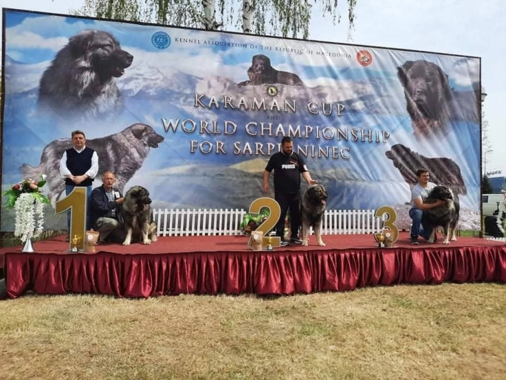 Тетовски одгледувач победи на државниот шампионат за расата шарпланинец