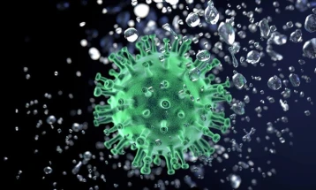 Истражување: Најдолгата позната инфекција со коронавирус траела 505 дена