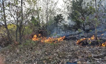 Пожар во Струмичко, горат 20 хектари нискостеблеста шума