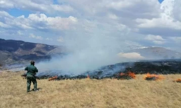 Пожар го зафати врвот Китка над Македонска Каменица