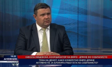 Мицевски: Граѓаните бараат предвремени парламентарни избори за спас од оваа национална катастрофа