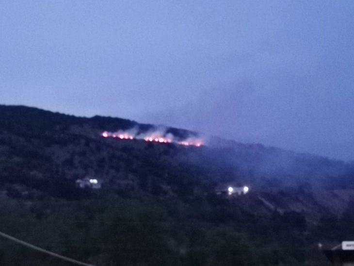 Гори дивата депонија во струшко Лабуништа