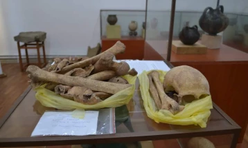 Музеј Демир Капија: Скелетните остатоци од археолошки локалитети говорат за животот во Демиркаписко во минатото