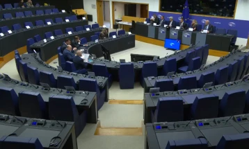 Бугарски историчари и филолози пред празна сала во Европарламентот ја претставуваа „Вистината за Македонија“