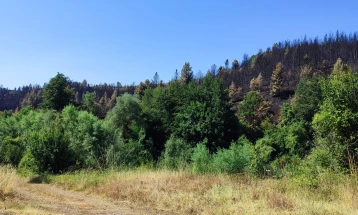 Дебата на НКЕУ-МК за заштита на природата преку одржливо управување со шумите