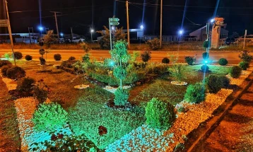 Засадени нови декоративни зимзелени дрвца во Крива Паланка