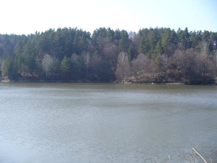 На Беровско езеро во тек е потрага по телото на 14 годишник од Берово