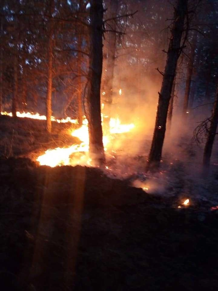 Два пожари вчера во околината на Велес, повредени нема