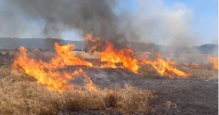 Изгаснат пожарот во Гевгелиско