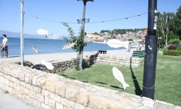 Активисти и спортски риболовци алармираат за состојбата со охридската пастрмка