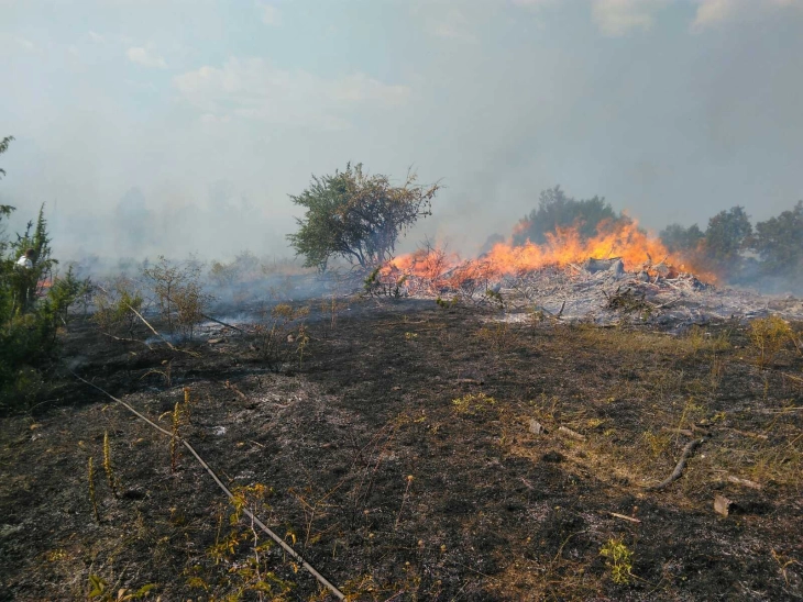 Пожарот во Беровско утре ќе се гаси од воздух