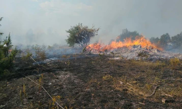 Пожарот во Беровско утре ќе се гаси од воздух