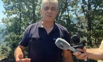 Стари суви трупци го отежнуваат целосното локализирање на пожарот во Малешевијата, за 17 часот закажан состанок на Управувачкиот комитет