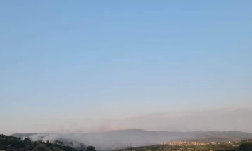 Ставен под контрола пожарот кај Ралова Чука, екипи на ТППЕ Делчево остануваат на терен
