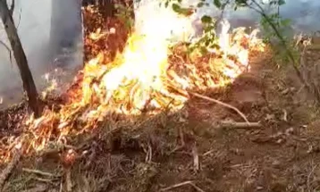 Спречен пожар од поголеми размери помеѓу селата Стар Истевник и Панчарево