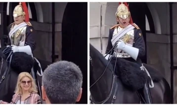 Гардист ѝ се развикал на туристка која му го допирала коњот