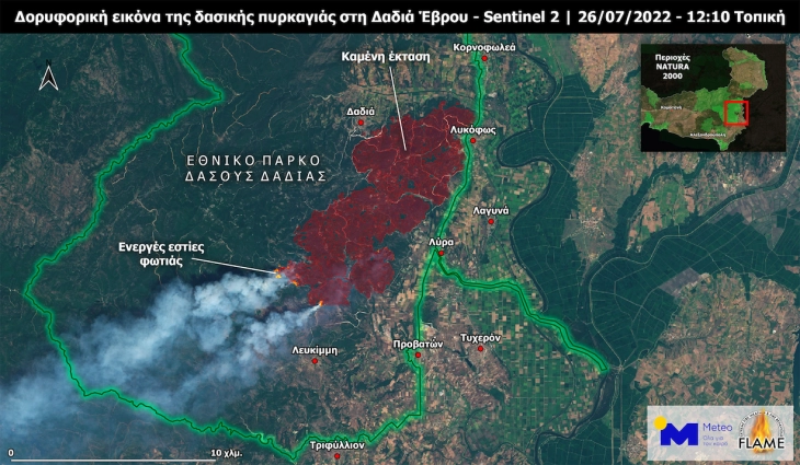 Во пожарот во грчкиот Национален парк Дадиа во Еврос досега изгореле 12 отсто од заштитената шума