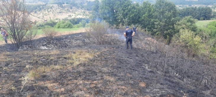 Локализиран пожарот во делчевско Разловци