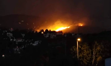 Пожар во околината на Прешево, горат 50 хектари борова шума