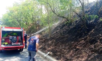 Изгаснати два пожара во Македонска Каменица
