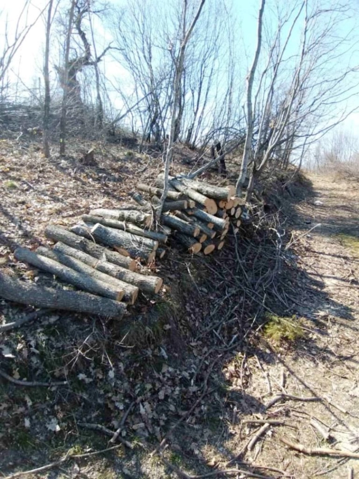 СВР Струмица апелира до граѓаните да не се снабдуваат со огревно дрво без документација