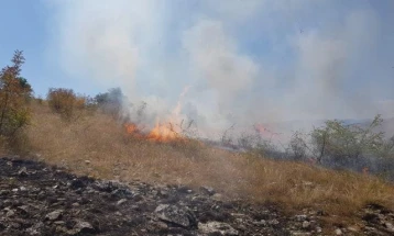 ЦУК: Активен пожар во месноста Раштански лозја, изгаснати пет низ државата
