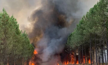 Пожарникарите постигнаа напредок во борбата со пожарите во Франција и Португалија