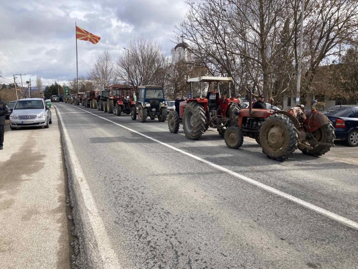 Оризопроизводители го блокираа патот Штип – Кочани кај Облешево