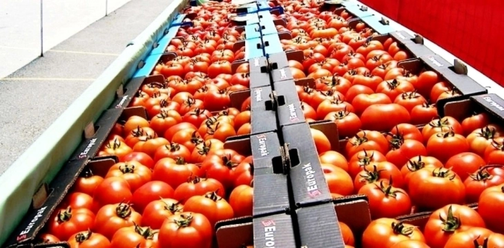 Оранжериските домати неделава поевтинуваат за 13,4 отсто на 2,07 лева за килограм