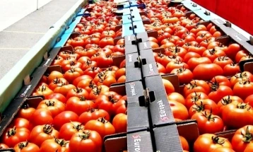 Оранжериските домати неделава поевтинуваат за 13,4 отсто на 2,07 лева за килограм