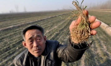 Половина од територијата на Кина е погодена од суша