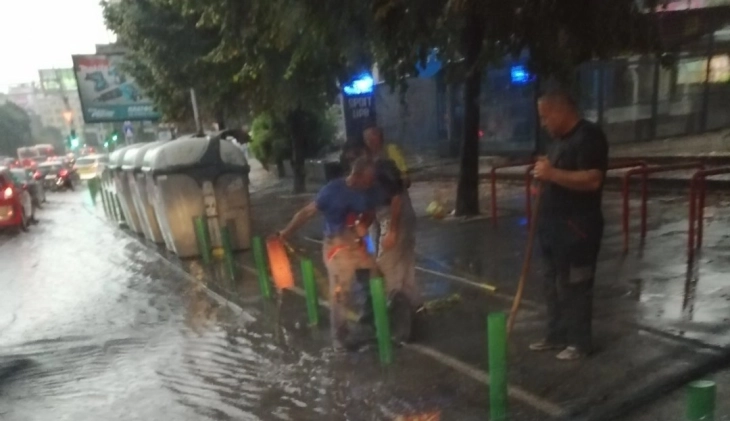 Во Скопје се расчистуваат сливниците, паднатите дрвја и билбордите од коловозите и тротоарите