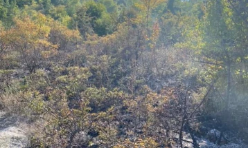 Во пожар изгореа четириесетина декари сува трева и нискостеблеста шума во атарот на селото Вешје