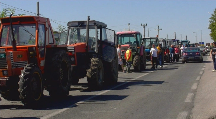 Производителите на ориз го блокираа патот Кочани – Штип, бараат минимална откупна цена од 40 денари за арпата