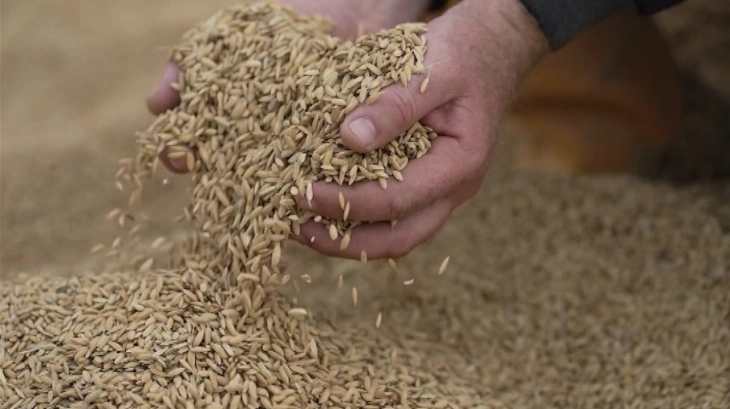 Николовски: Со предложените законски измени оризот ќе стане стратешка култура и ќе се откупува за стоковите резерви