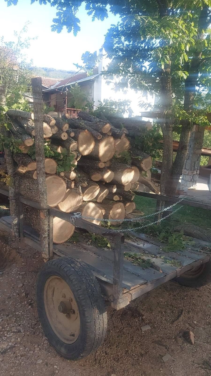 Во Битолско приведени четири лица, пронајдени и одземени бесправно исечени огревни дрва 
